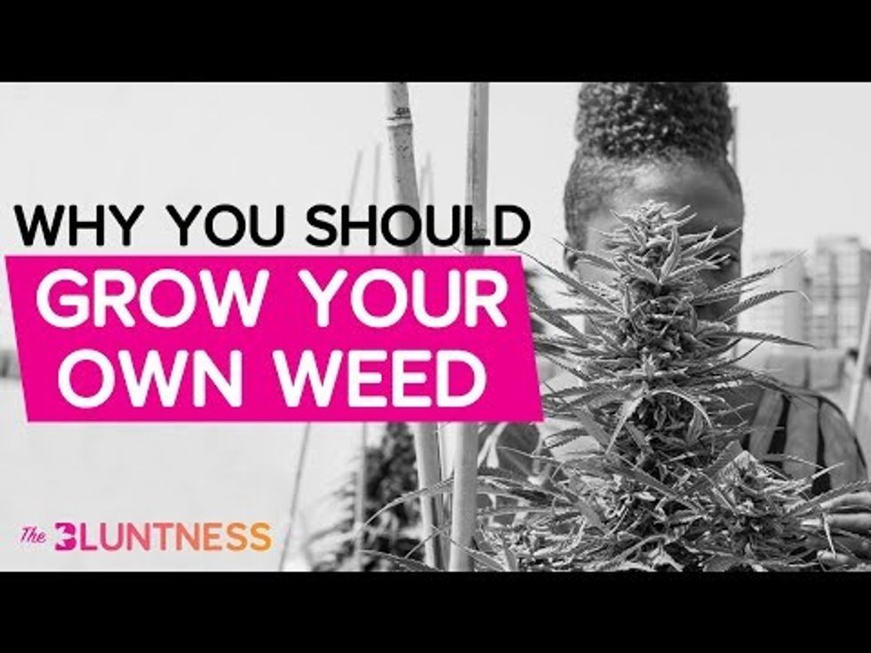 Why You Should Grow Your Own Weed | The Edge ft Dank Duchess